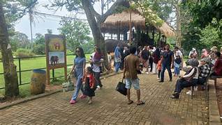 Eksplorasi Lembah Hijau dengan Ritual Leluhur Lestari